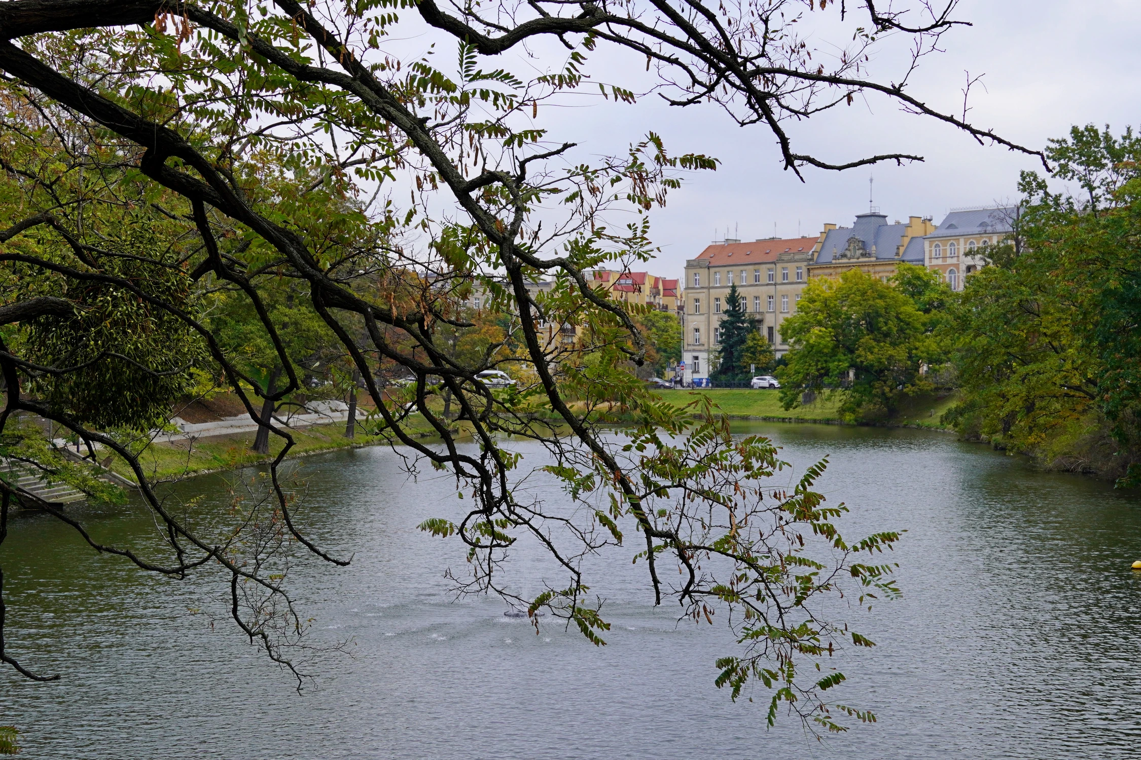 Odra 