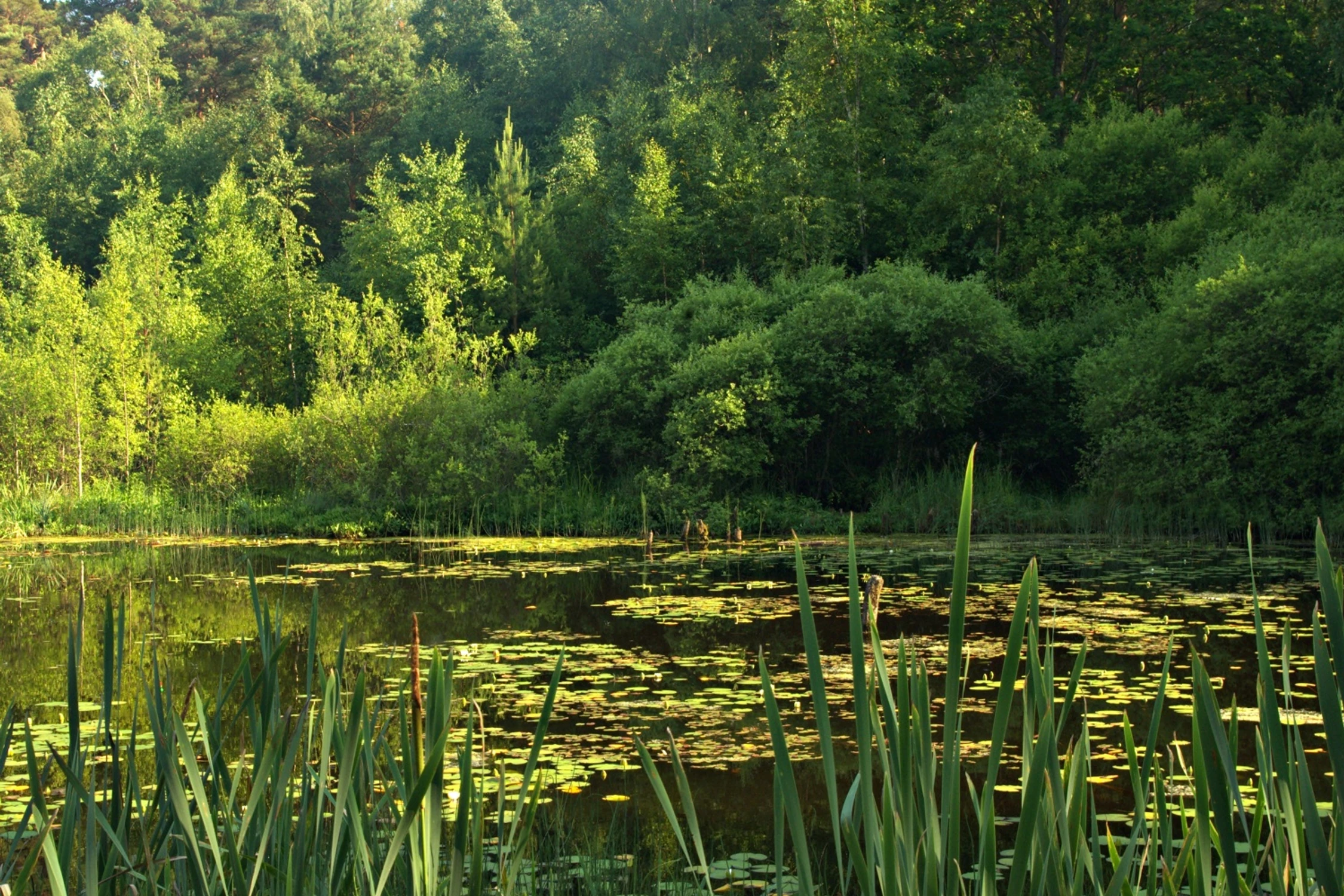 Stawek Upiorów