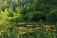 Stawek Upiorów