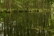 Niebieskie Źródła 