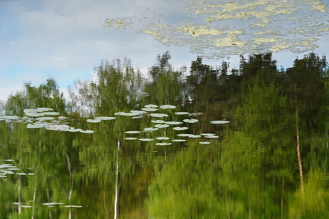 nad wodą 