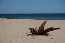 plaża 