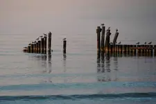 wieczorową porą 