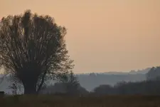 Poranek