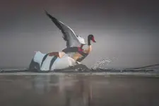 Wyprowadzenie ciosu