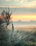 Łąkowe story