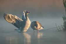 Na włościach