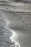 1000048374