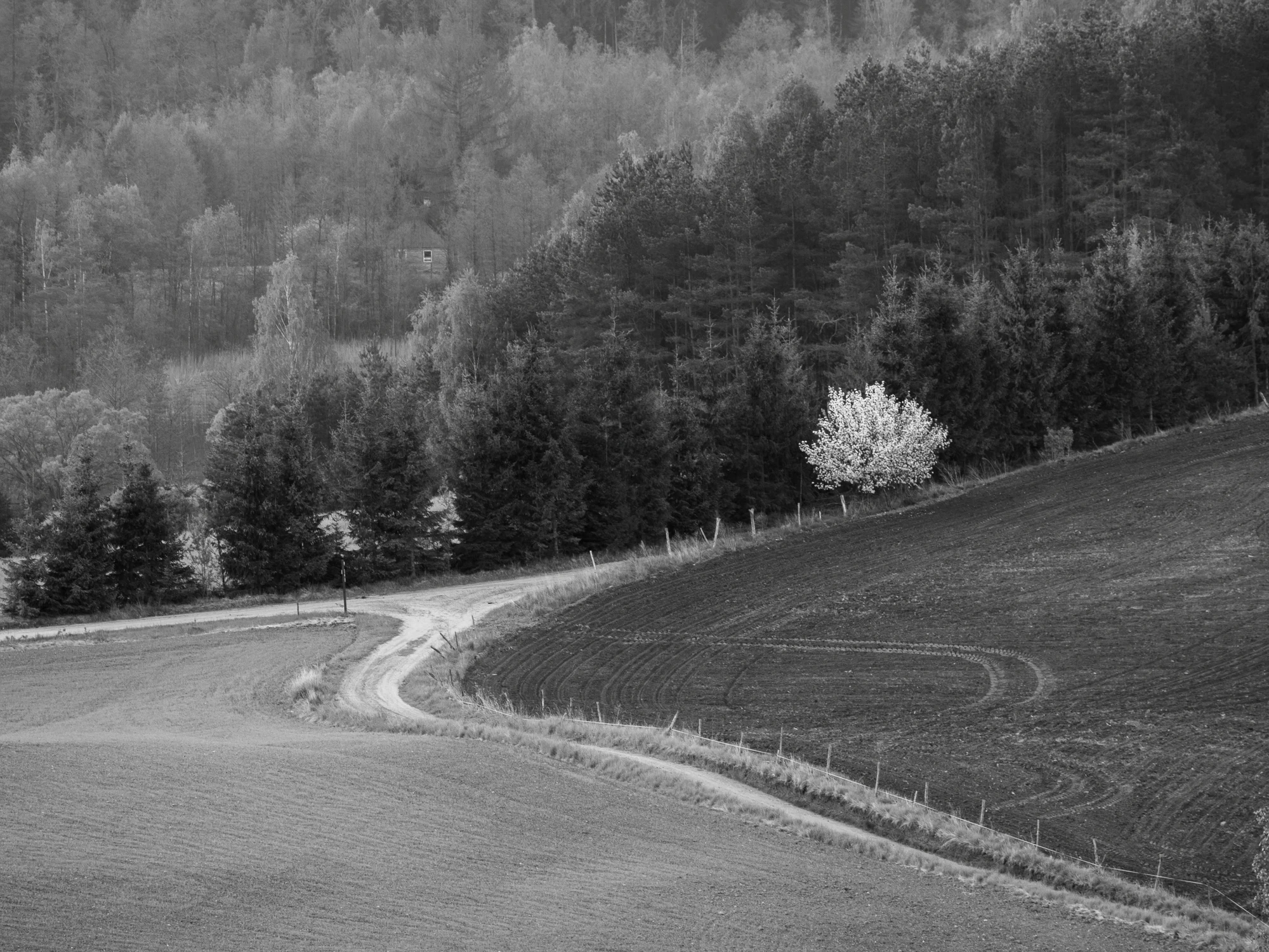 Suwalszczyzna 