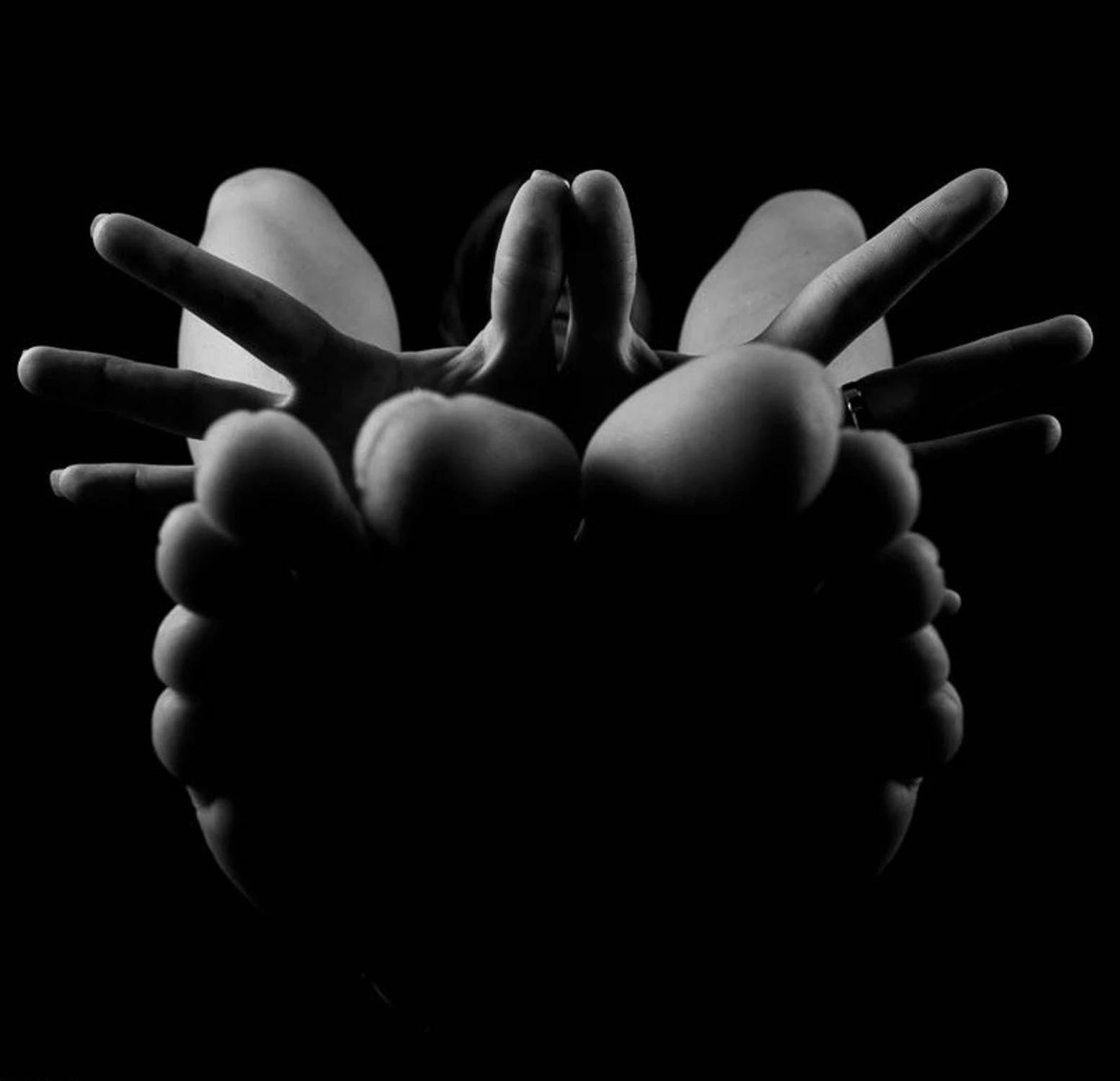 „Chrysalis” 