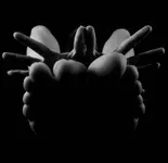 „Chrysalis” 