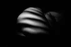 Następne z tej serii 