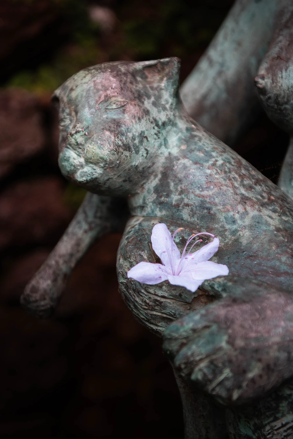Piękno zaklęte w Kamień