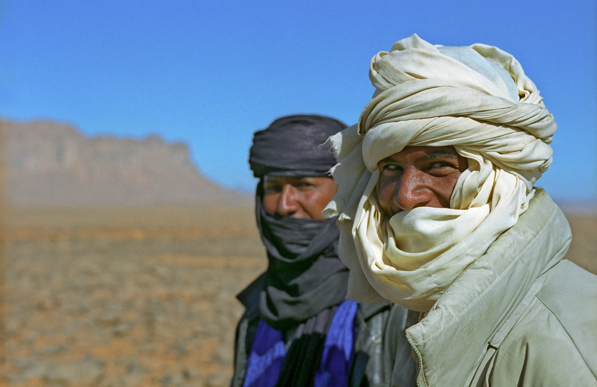 Tuaredzy