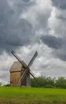 Przed burzą 