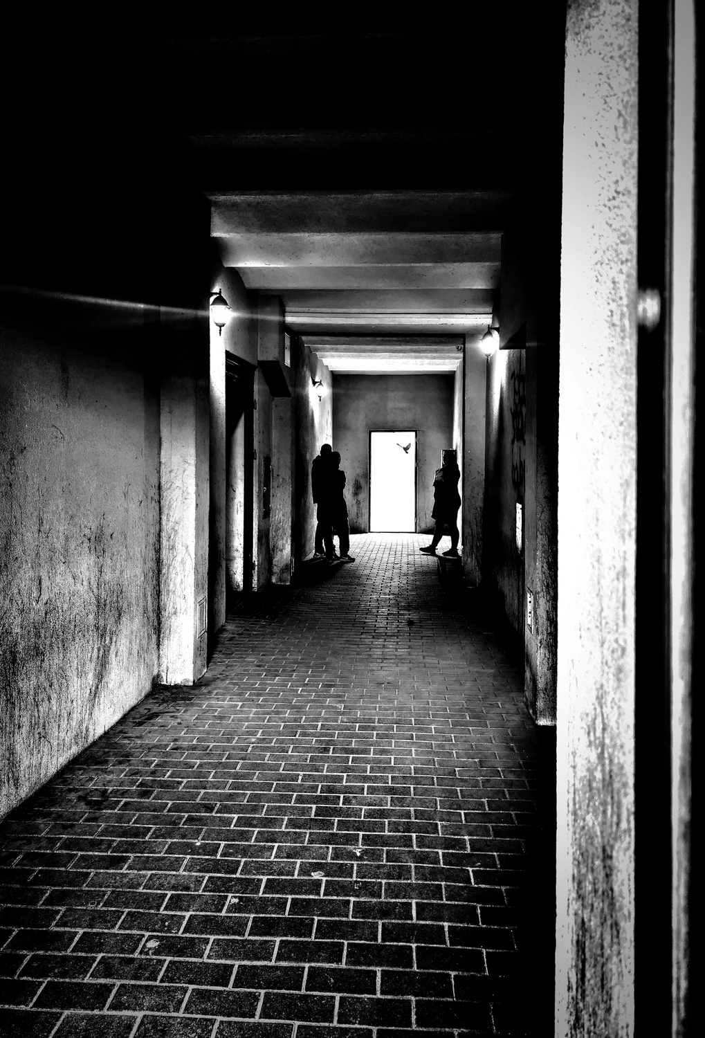 PXL_20250409_130020607.RAW-01.COVER~2