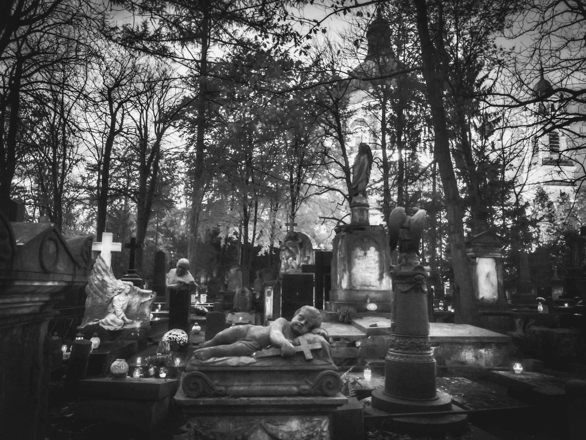 PLF_2025_11_02_1000036232