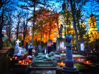 PLF_2025_11_02_1000036233