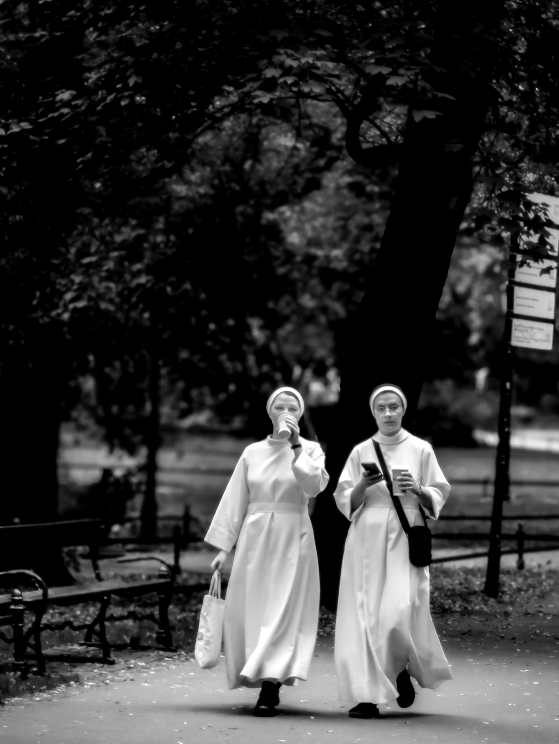 PLF_2025_09_06