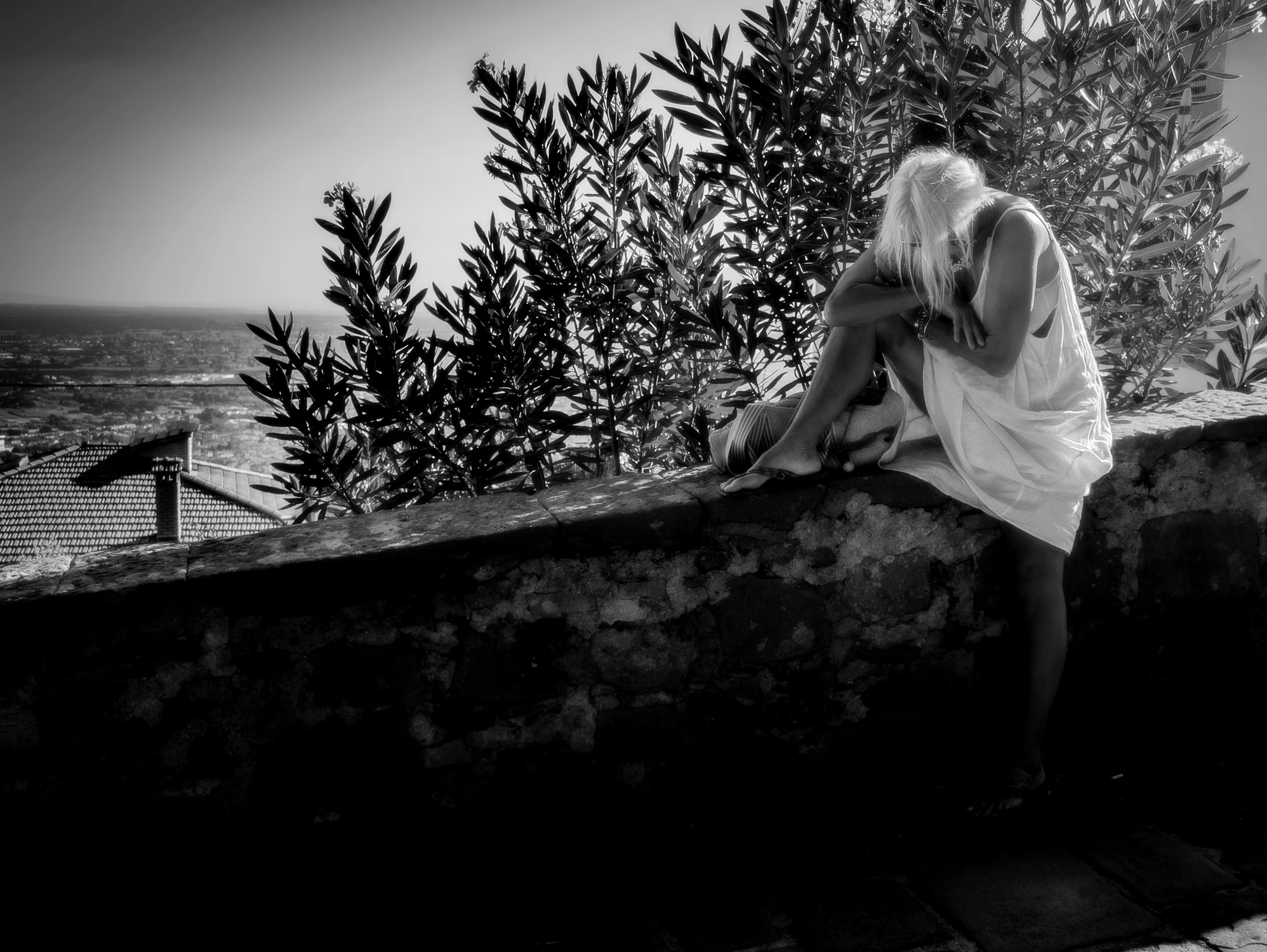 PLF_2025_08_04