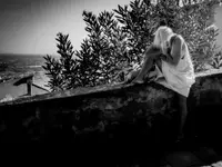PLF_2025_08_04