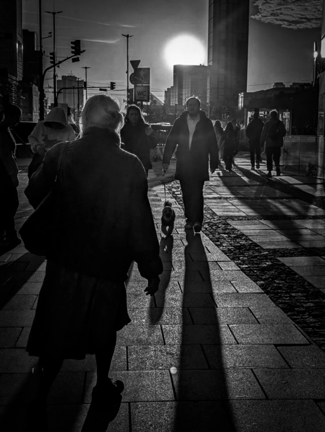 PLF_2025_10_161000033950