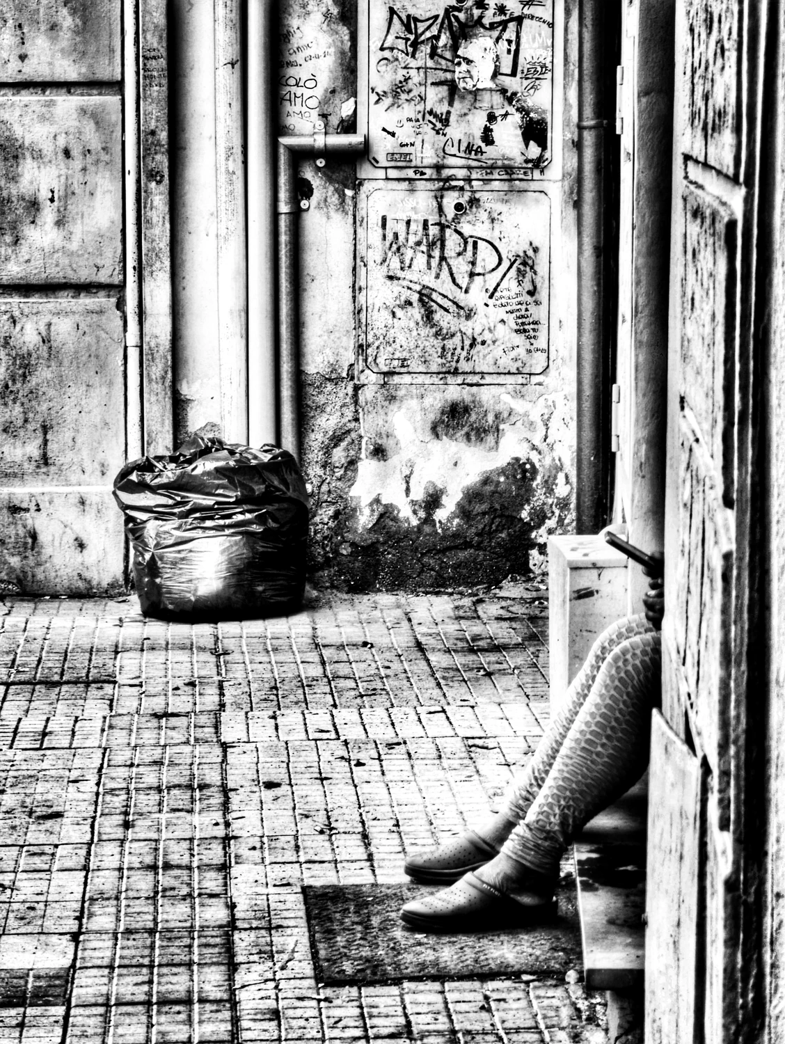 PLF_2025_08_11