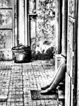 PLF_2025_08_11
