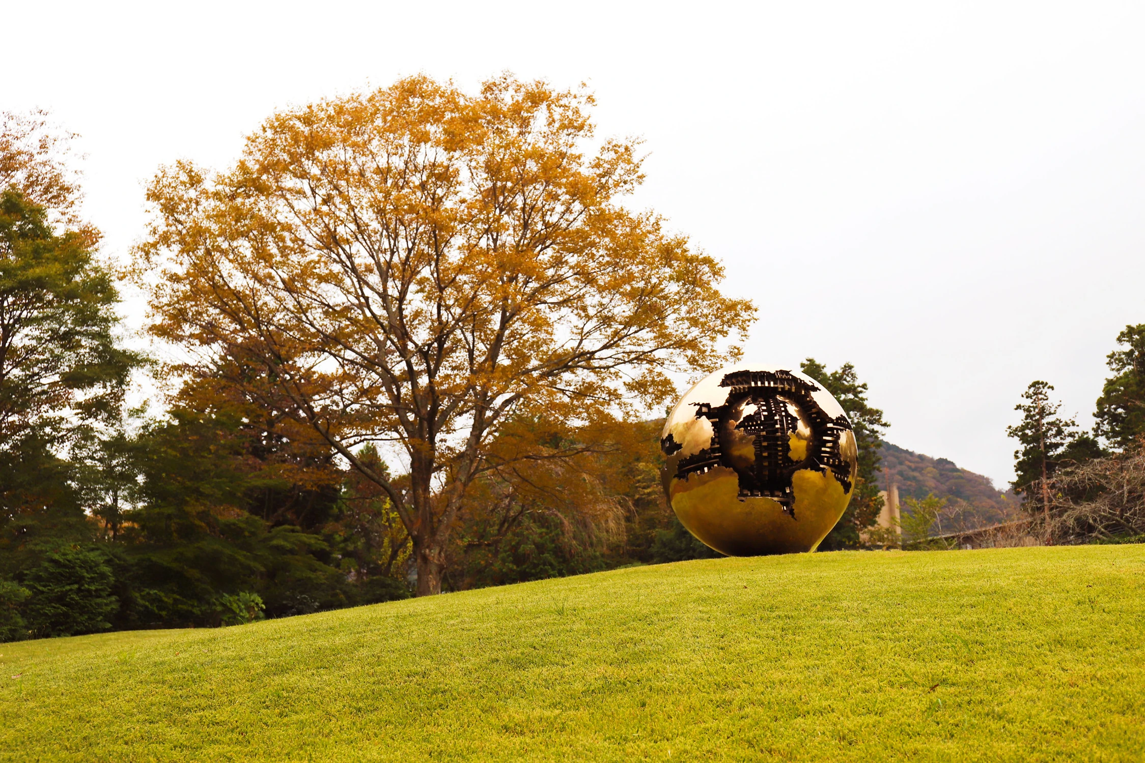 Sphere Within Sphere
