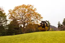 Park