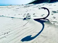 Kotwica