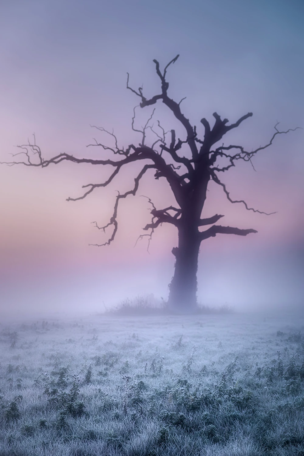 Poniżej punktu rosy