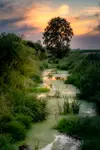 Zielona Struga