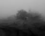 Idąc w mgłę