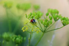 IMG_8659