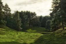 Słoneczna polana