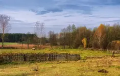 Płoty