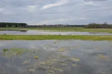 Kaczeńce i Drohiczyn