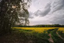 Majowe opowieści