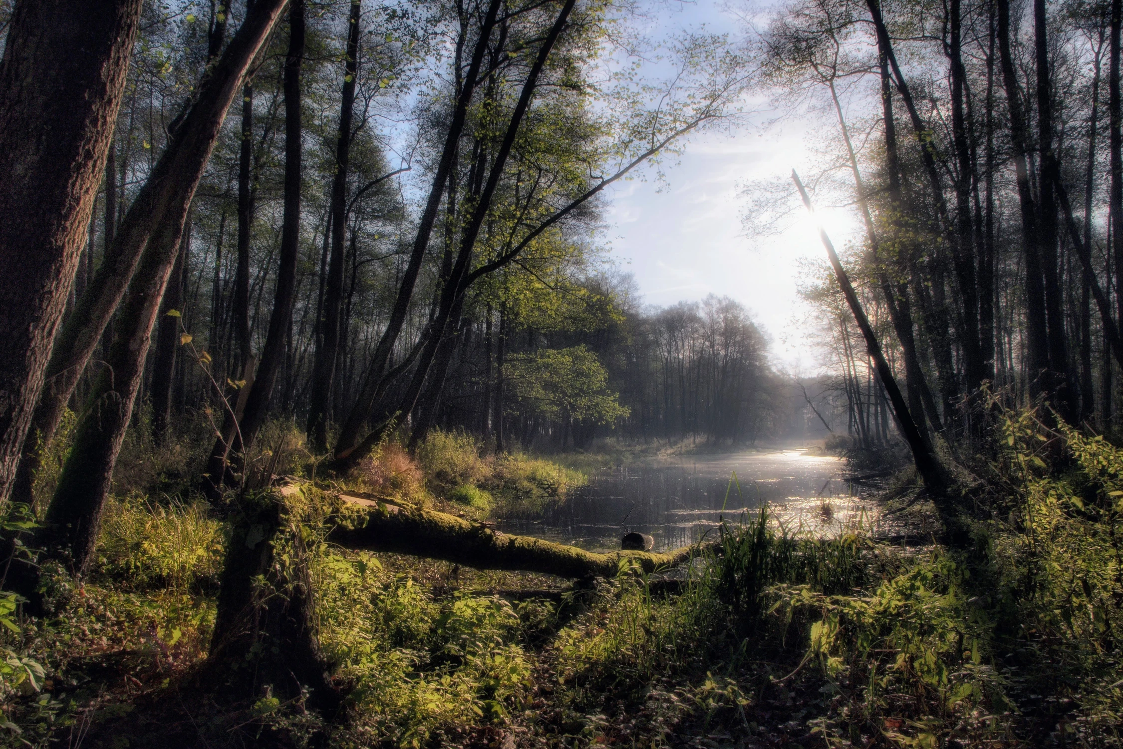 Bużysko