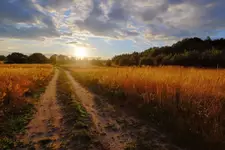 Wieczorny blask