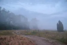 Opary nad łaką