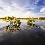 Widok na Drohiczyn
