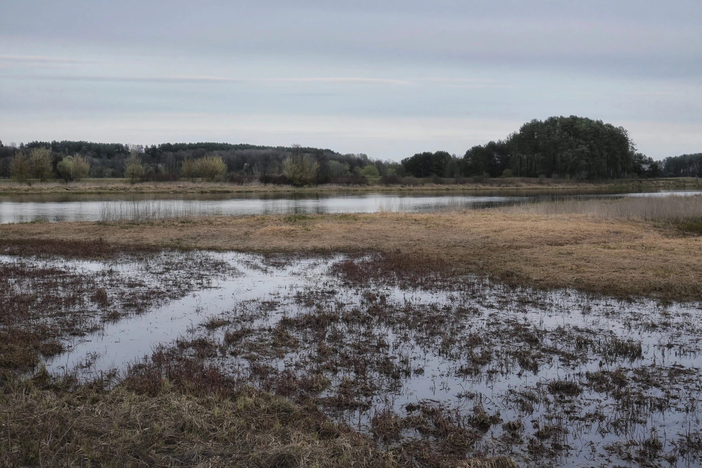 Nad Bugiem w kwietniu