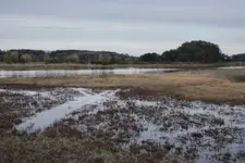 Nad Bugiem w kwietniu