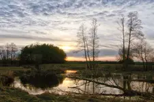 Przed zachodem słońca