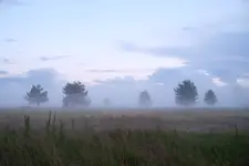 Po mokrym dniu powstające opary nad łaką.