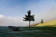 Światło i cień