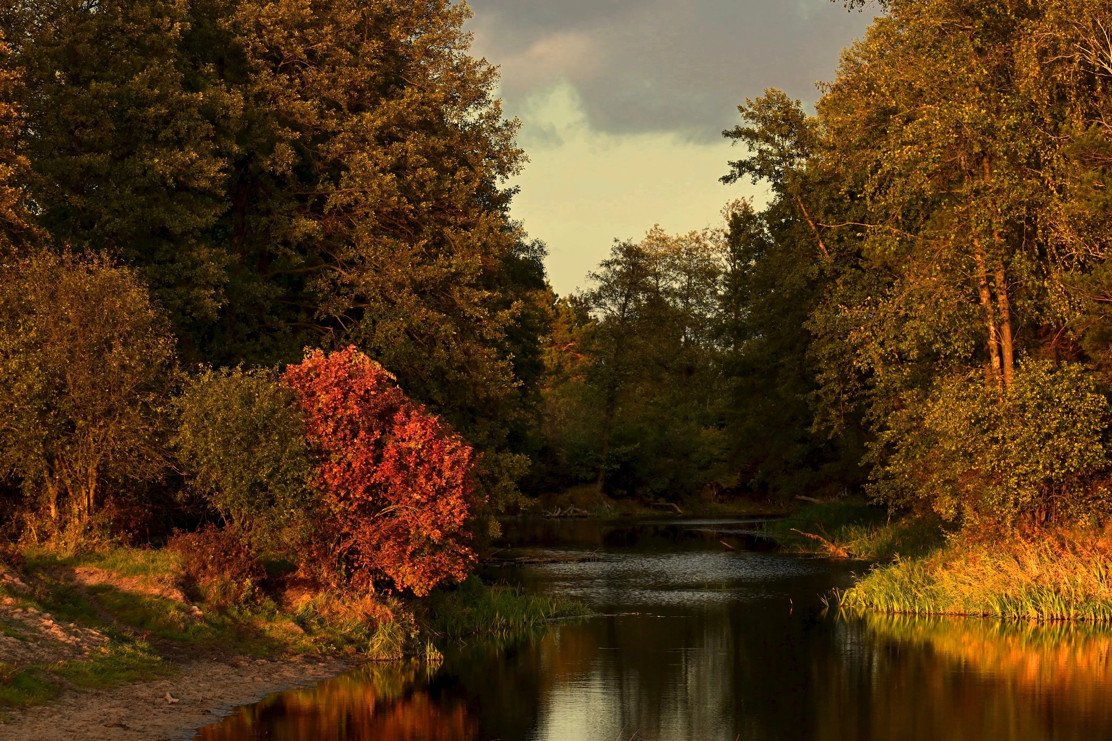 Jesień nad bużyskiem