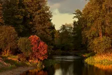 Jesień nad bużyskiem